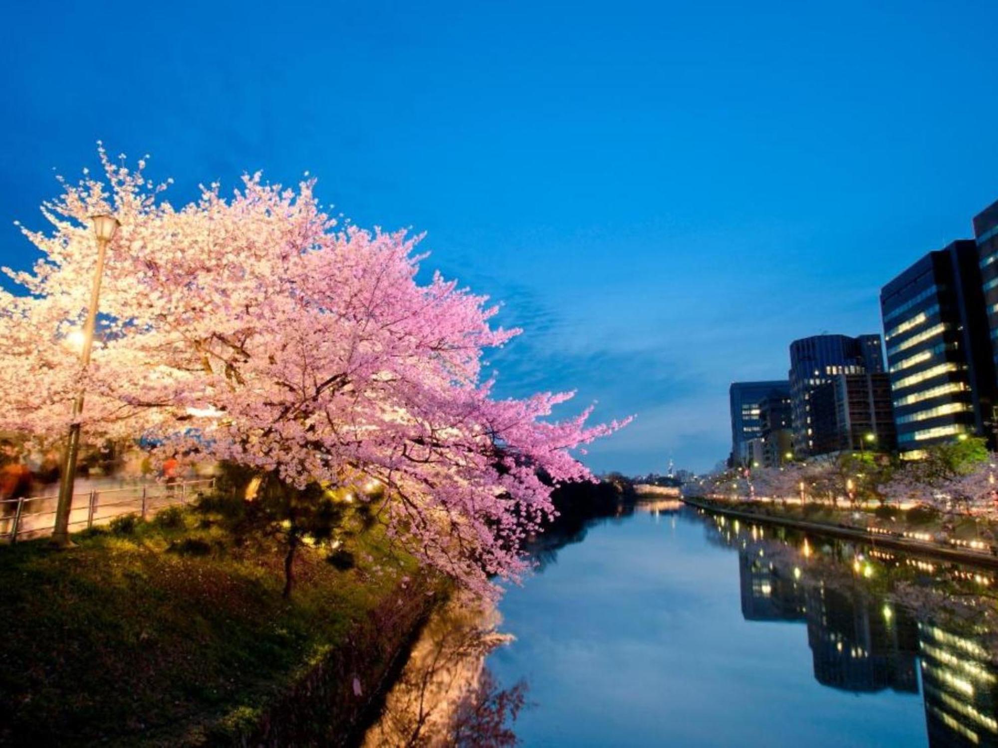 Hotel Resol Trinity Hakata Fukuoka  Eksteriør bilde